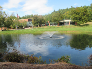 池塘为校园增添了一道风景
