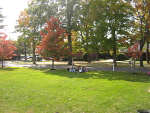 View from outside dining hall