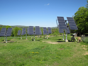 A group of solar panels