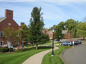 Pathway toward the dorms