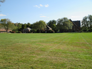 The vast campus green space