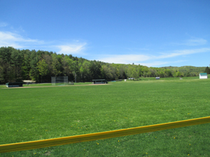 The school sports fields