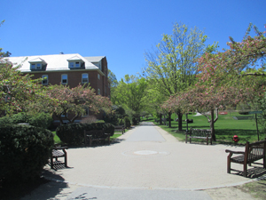 Walkway through campus