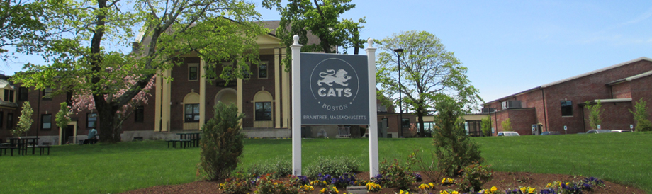 CATS Academy