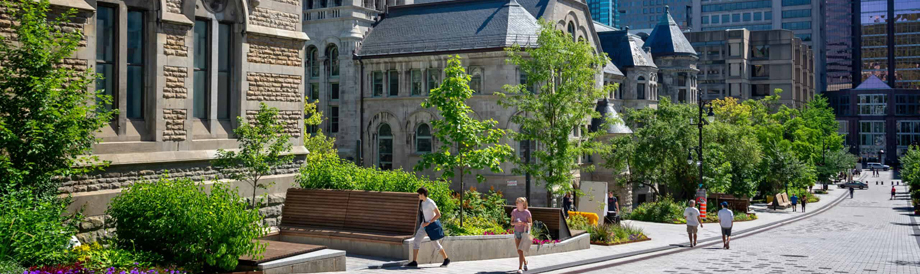 McGill University McGill University