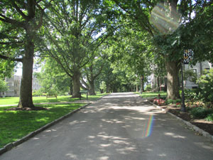 Private driveway into campus