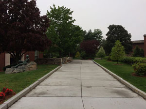 A tree-lined walkway