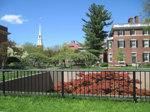 Scenic view of the campus