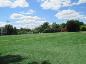 The college's sports field