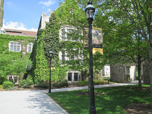 A walkway through campus