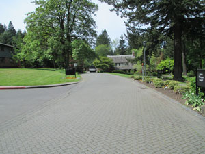 A private roadway through campus