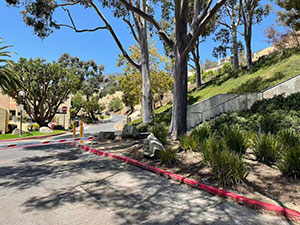 Pathway and hilltop