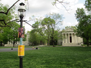 Princeton's verdant tree-lined campus