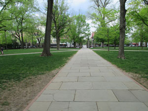 The long entryway onto campus