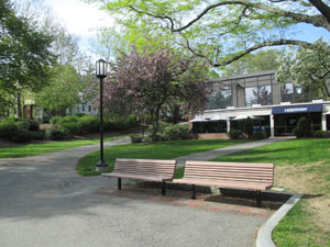 Scenic view of the Spring foliage