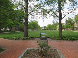 A broad view of the quad