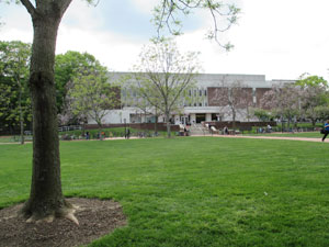 The Morris Library in the background