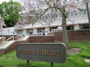 The Morris Library up close