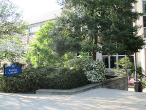 The forested entrance to Falvey Library