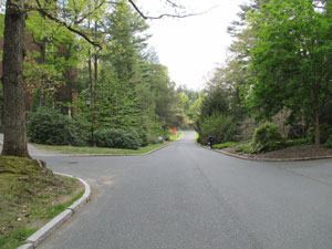 A quiet roadway leading into campus